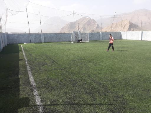 عکس چمن مصنوعی رشیدی