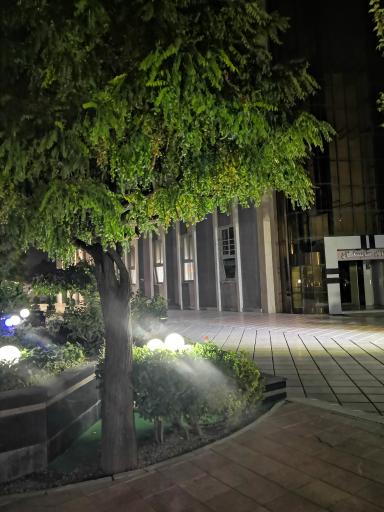 عکس هتل شایستگان (کیمیای سابق)