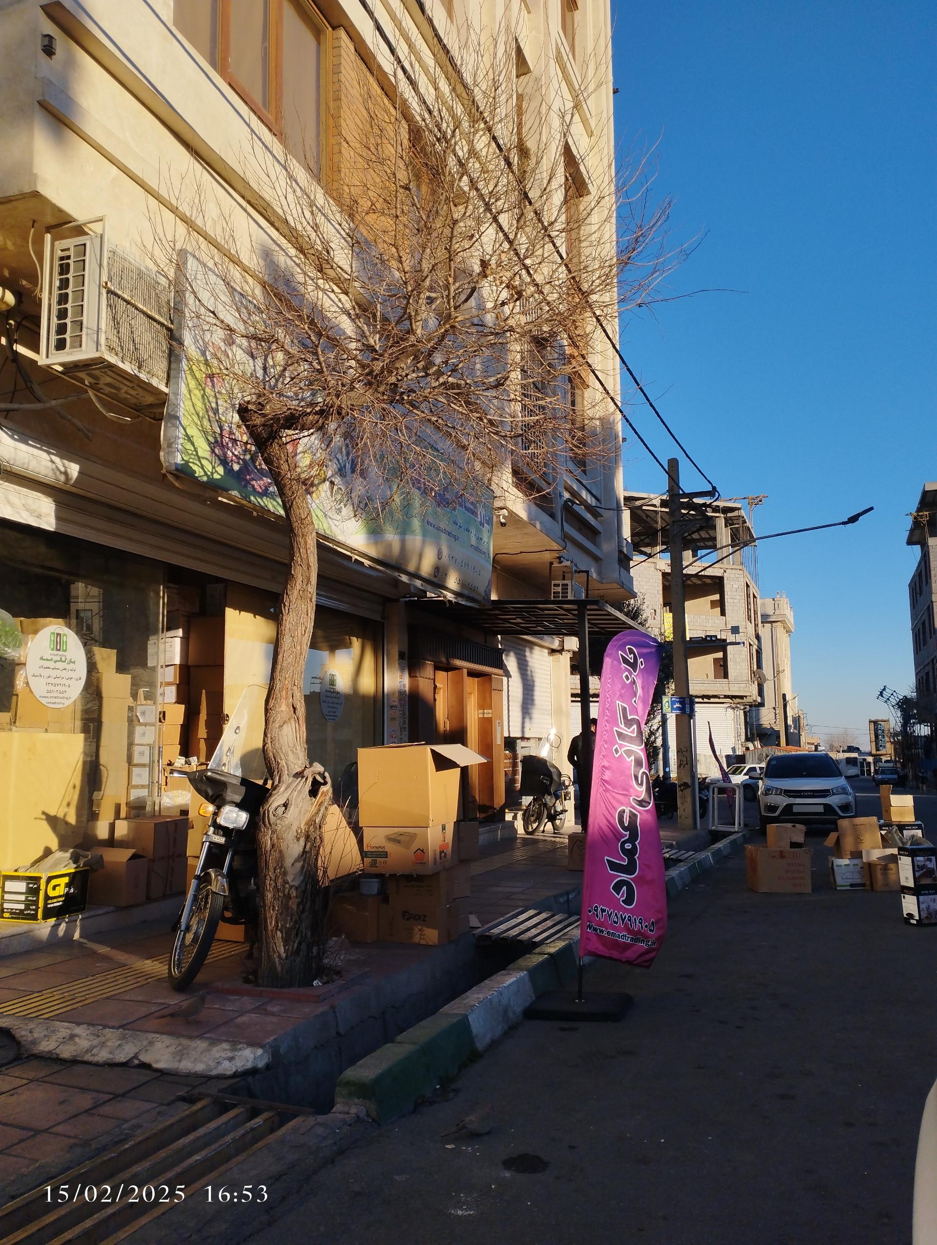 عکس بازرگانی عماد