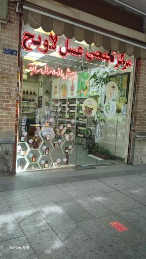 عکس عسل لاویچ