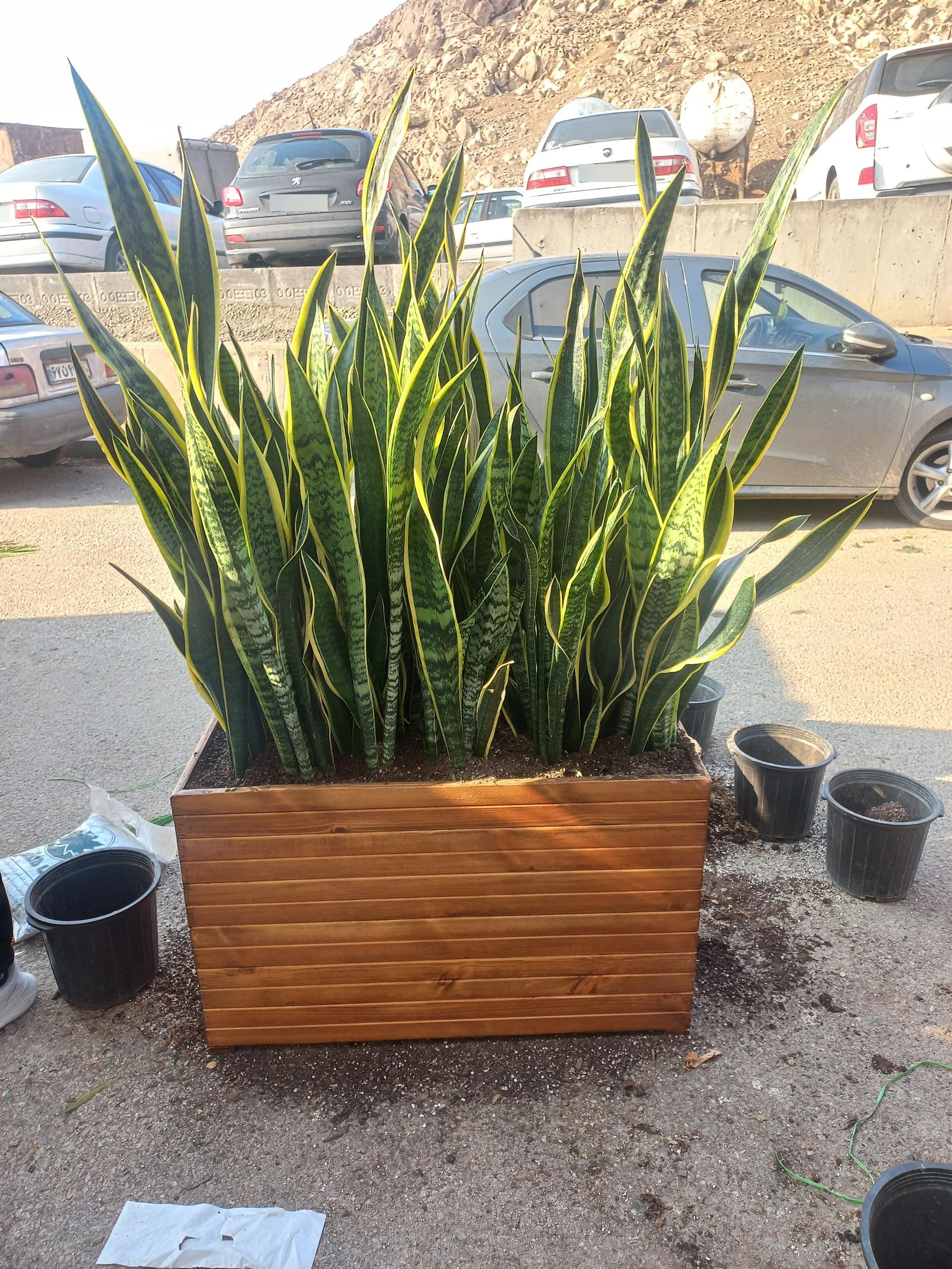 عکس آپارتمانی لند