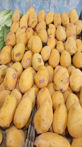 عکس ارزان سرای انصاف