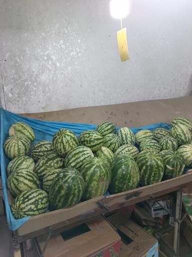 عکس ارزان سرای انصاف