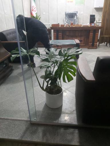 عکس املاک و دفتر فروش آپادانا