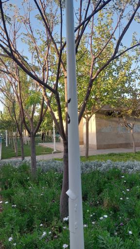 عکس سرویس بهداشتی