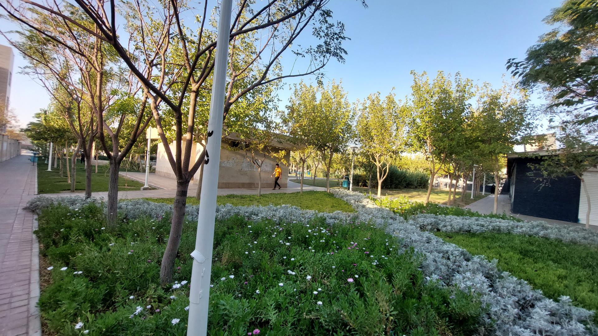 عکس سرویس بهداشتی