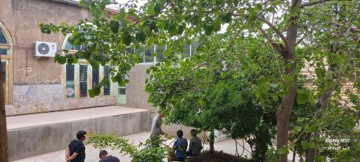 عکس مسجد امیر المومنین (ع)