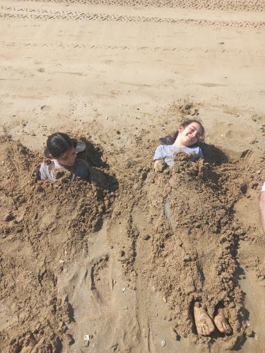 عکس ساحل طلایی