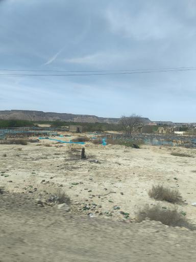 عکس ساحل طلایی