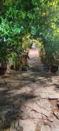 عکس رستوران و سفره خانه سنتی خان