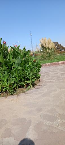 عکس میدان مجلسی