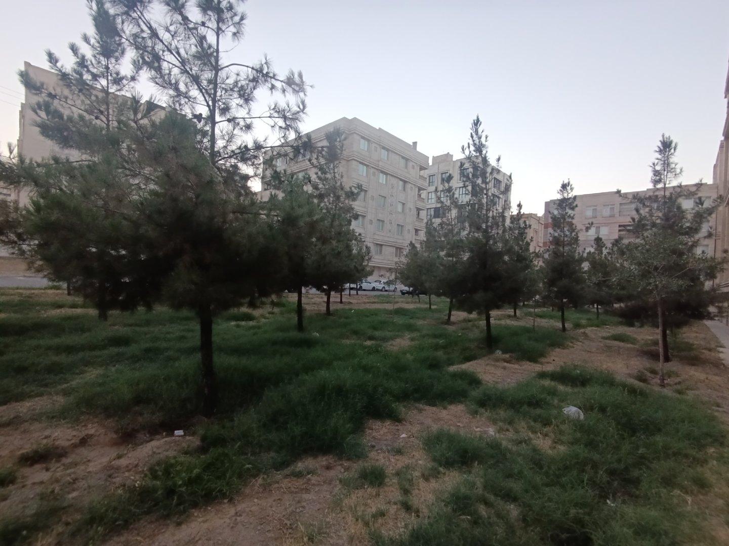 عکس فضای سبز کمالی