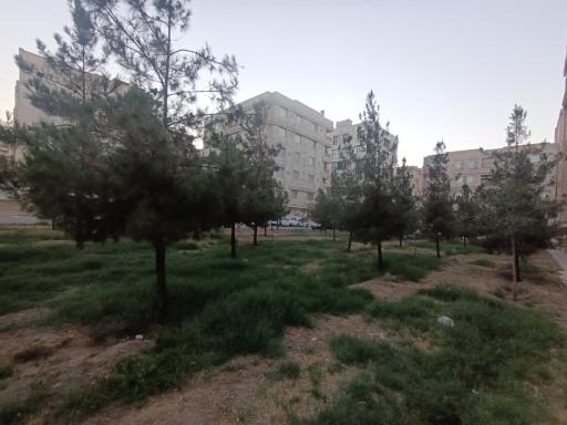 عکس فضای سبز