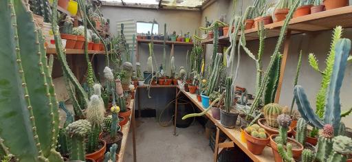 عکس نمایشگاه گل و گیاه کاکتوس سنتر اصفهان