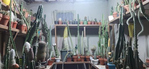 عکس نمایشگاه گل و گیاه کاکتوس سنتر اصفهان