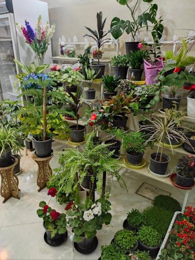 عکس گل فروشی نورما