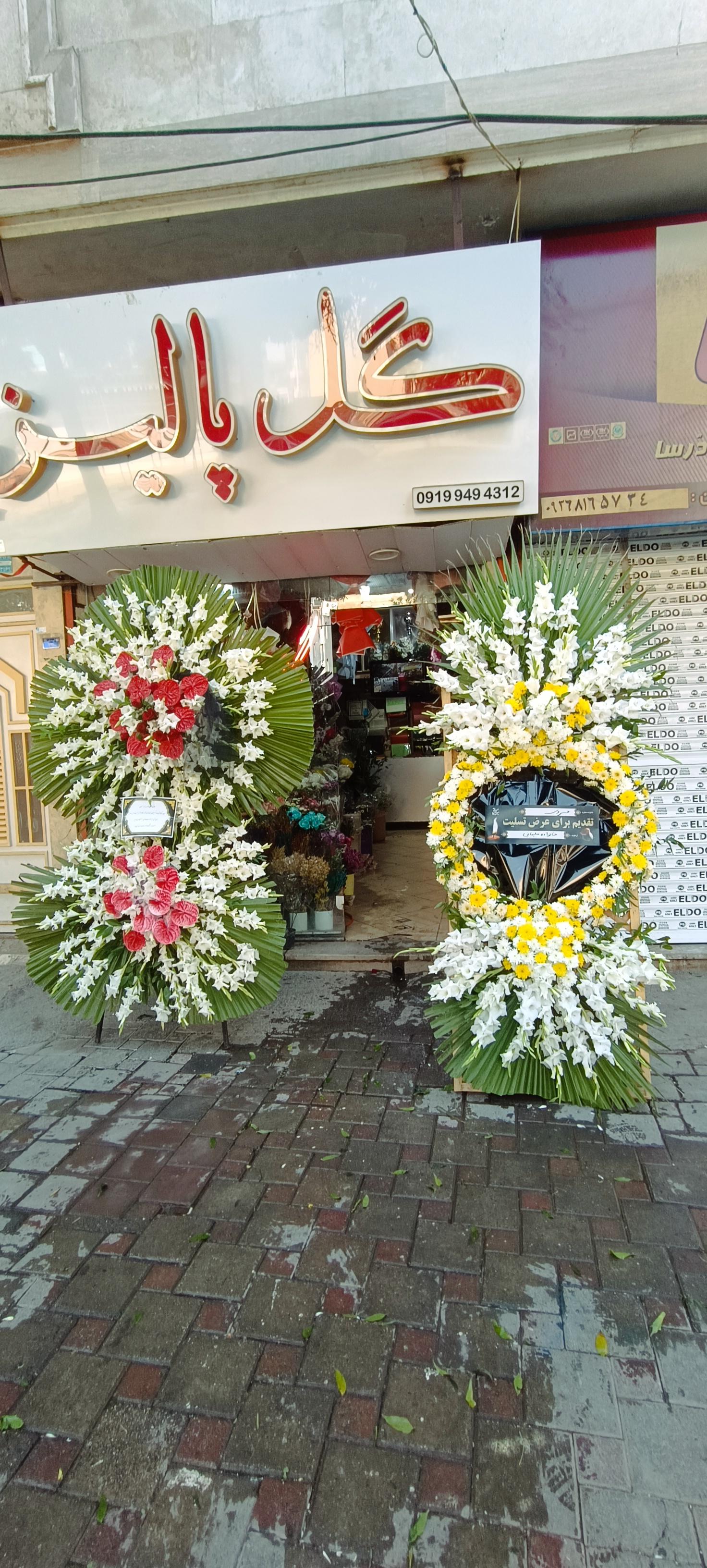 عکس گل پالیز