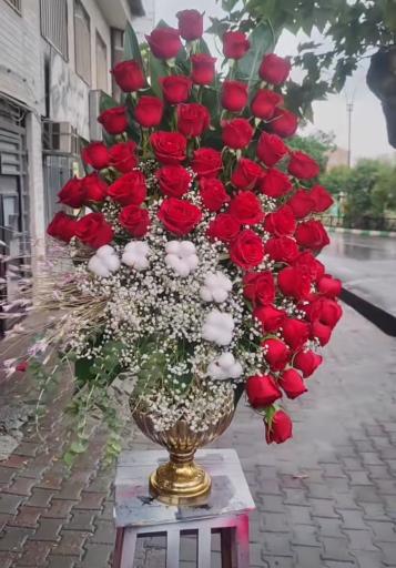 عکس گل پالیز