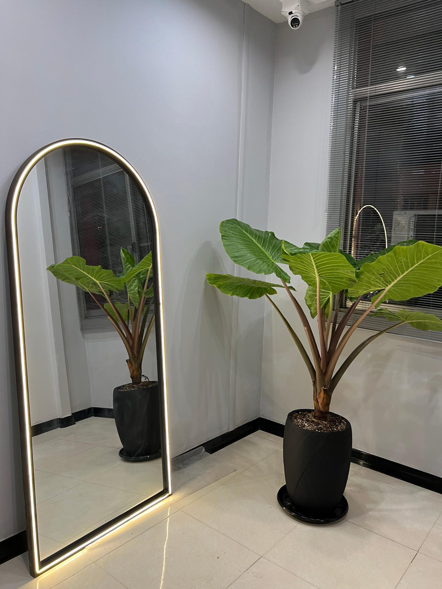 عکس دکتر شبنم ریحانی شیروان متخصص دندان پزشکی