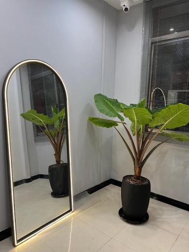 عکس دکتر شبنم ریحانی شیروان متخصص دندان پزشکی