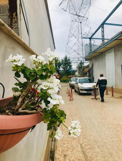 مرکز معاینه فنی خودرو جعفریان