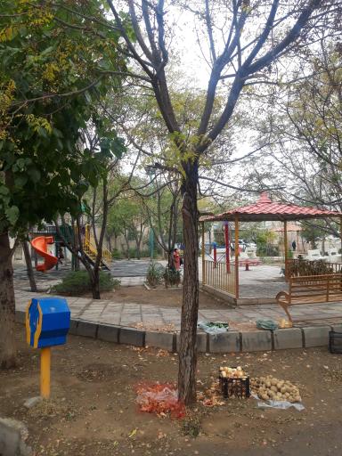 عکس بوستان نیستان