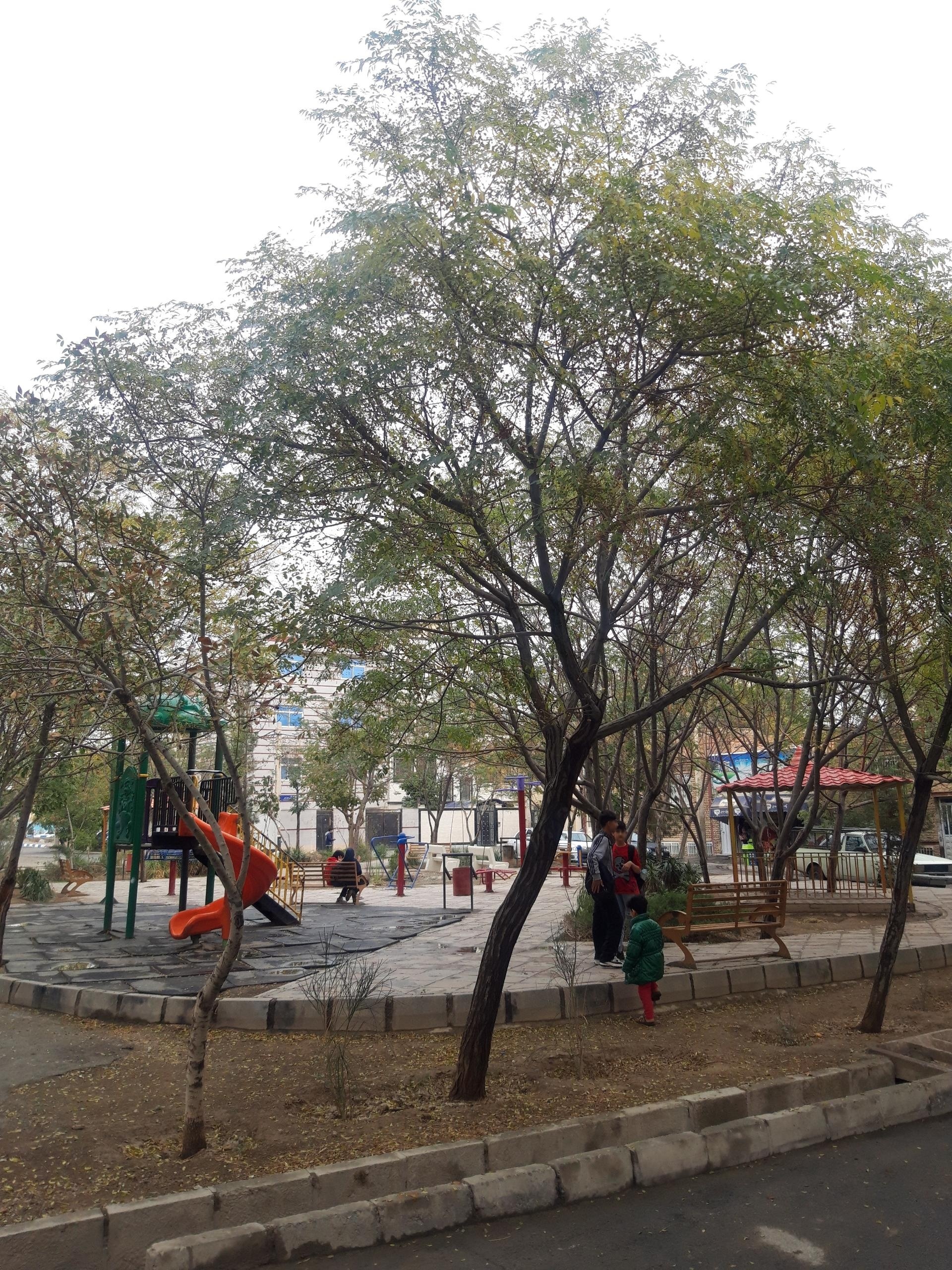 عکس بوستان نیستان