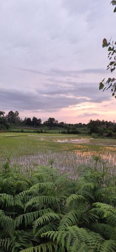 اقامتگاه بومگردی تلارسر تخسم