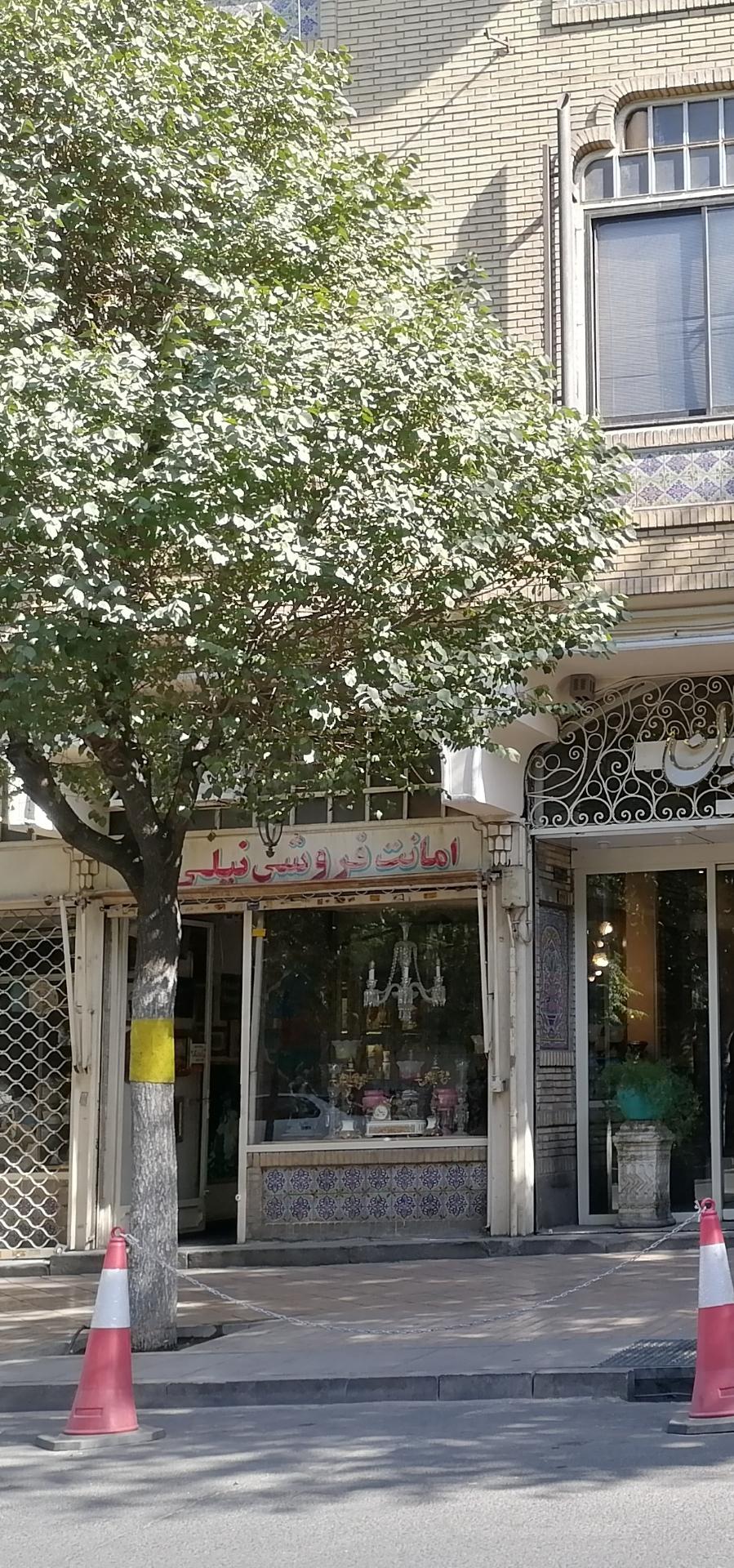 عکس امانت فروشی نیلی