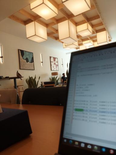 عکس کافه کافیس