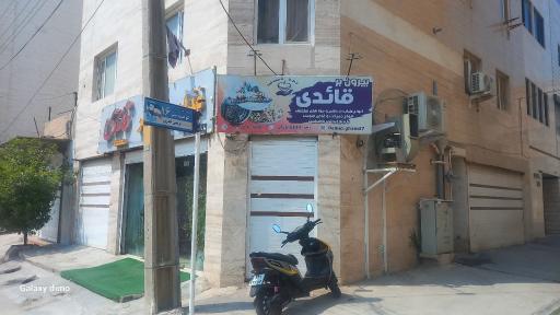 عکس بیرون بر قائدی