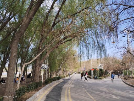 عکس ایستگاه دوم تله سیژ ناژوان