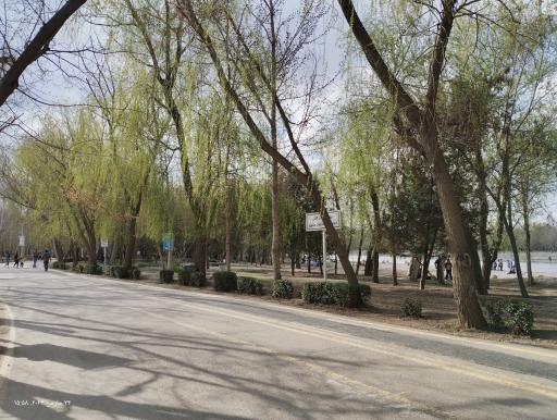 عکس ایستگاه دوم تله سیژ ناژوان