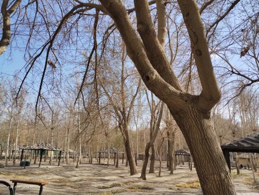 عکس ایستگاه دوم تله سیژ ناژوان