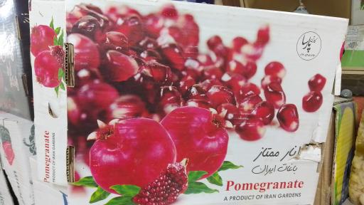 عکس میوه سرای بهار نارنج