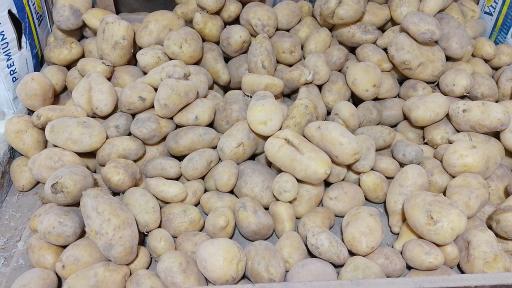 عکس میوه سرای بهار نارنج