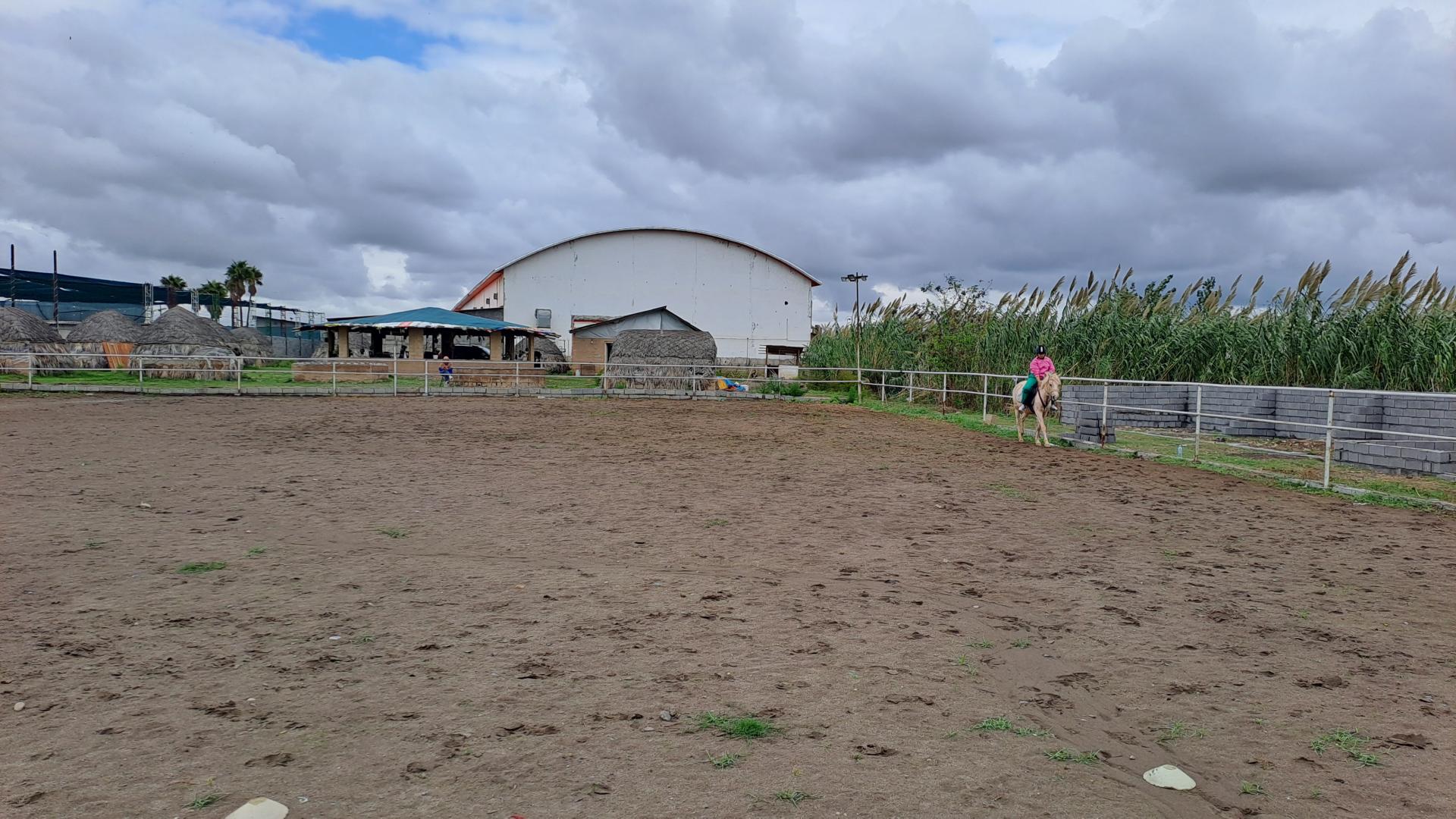 عکس باشگاه سوارکاری لیانا