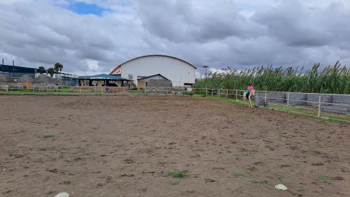 عکس باشگاه سوارکاری لیانا