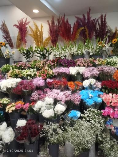 گل فروشی پامچال 