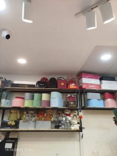 گل فروشی پامچال 