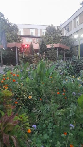 عکس بیمارستان شهید چمران