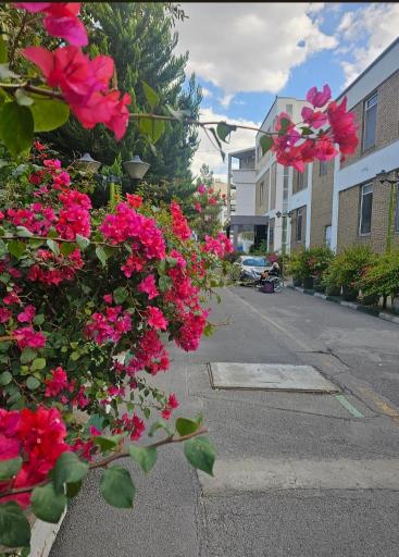 عکس بیمارستان شهید چمران