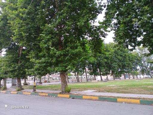 عکس فضای سبز محله درزیکلاشیخ