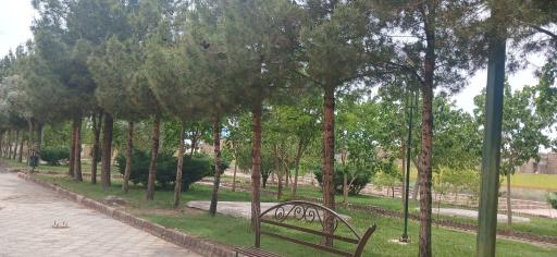 عکس پارک لاله