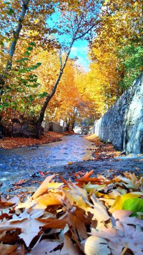 عکس رودخانه طرقبه