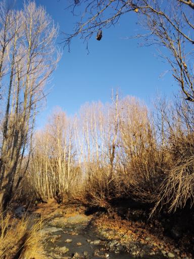 عکس رودخانه طرقبه