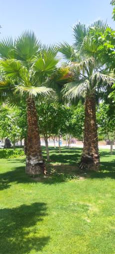 عکس بوستان نخبگان (نسیم)