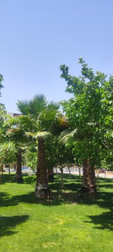 بوستان نخبگان (نسیم)