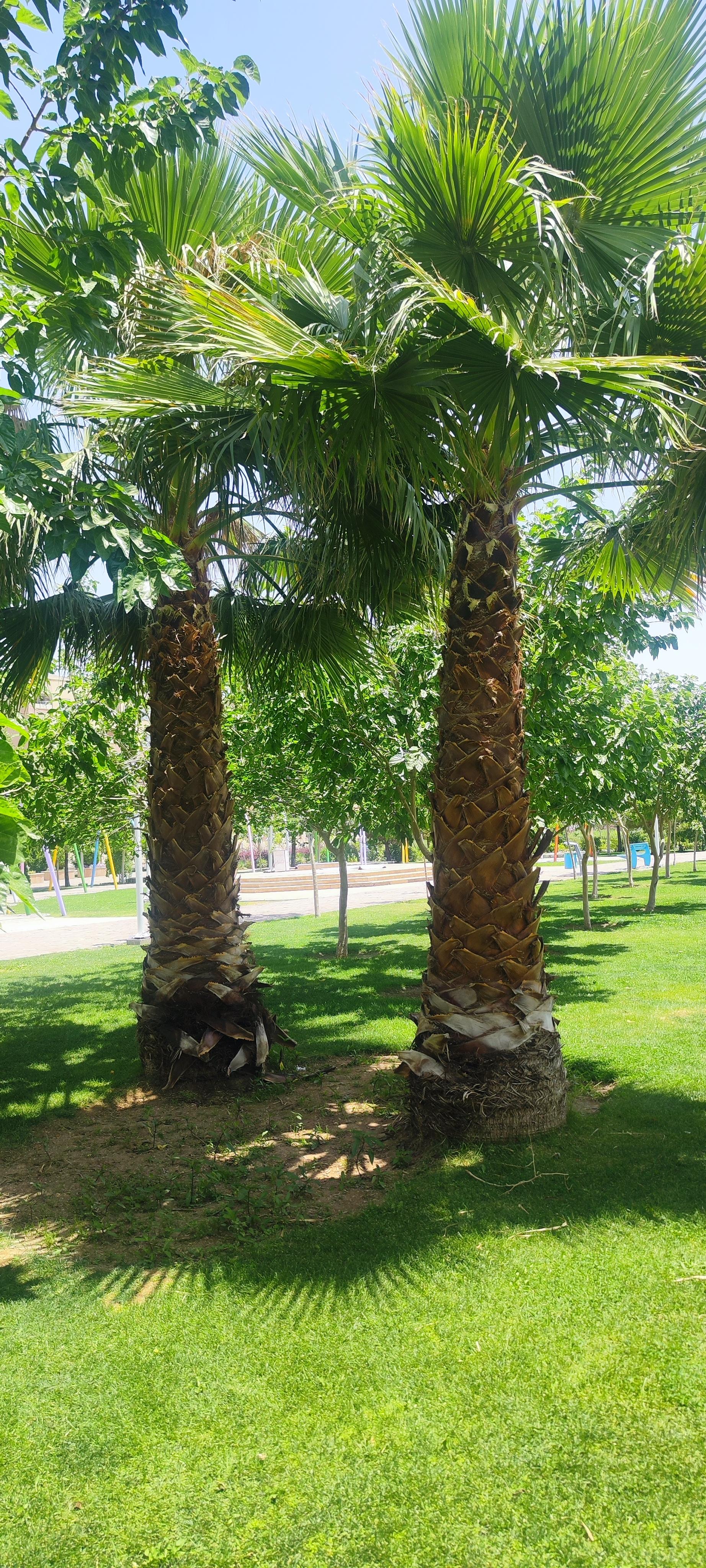 عکس بوستان نخبگان (نسیم)