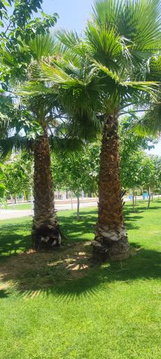 عکس بوستان نخبگان (نسیم)